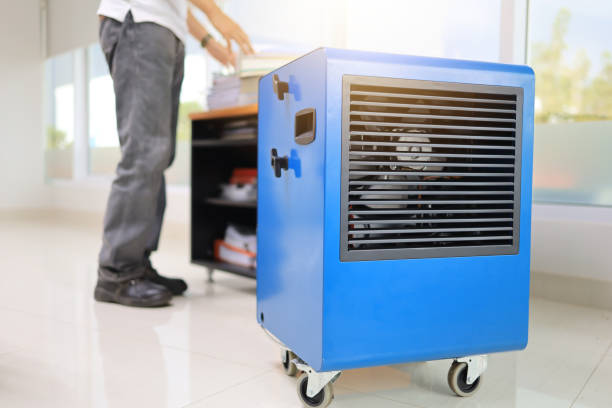 Best Indoor Air Quality Assessment  in Morongo Valley, CA