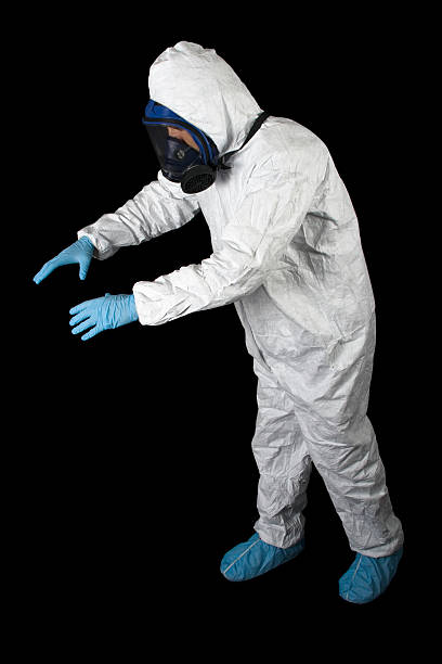 Best Basement Mold Removal  in Morongo Valley, CA